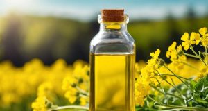 Aceite de colza: descubre sus beneficios y razones para adoptarlo Aceite de colza: descubre sus beneficios y razones para adoptarlo