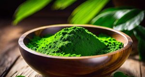 Chlorela: descubre sus usos, beneficios y riesgos Chlorela: descubre sus usos, beneficios y riesgos