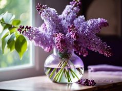 Lilas: descubre dos trucos para conservarlo y reutilizarlo todo el año Lilas: descubre dos trucos para conservarlo y reutilizarlo todo el año