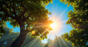 Beneficios de la vitamina D para la salud: descúbrelos todos Beneficios de la vitamina D para la salud: descúbrelos todos